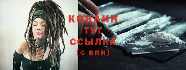 спиды Ельня