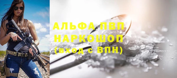 спиды Ельня
