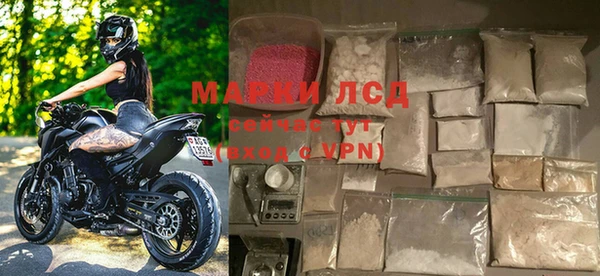 спиды Ельня