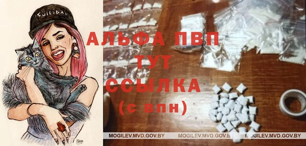 дживик Михайловск