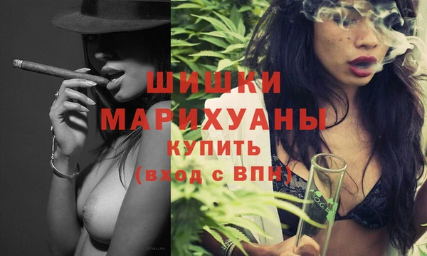 спиды Ельня