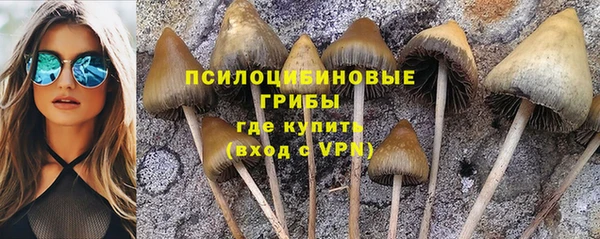 крисы Михайловка