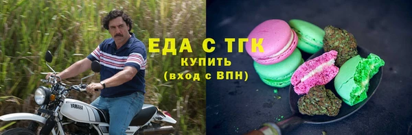 спиды Ельня
