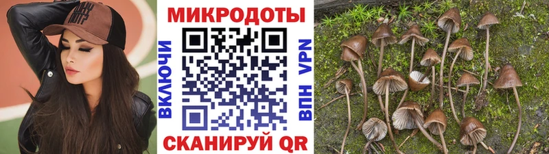 купить  сайты  Суворов  Псилоцибиновые грибы мухоморы 